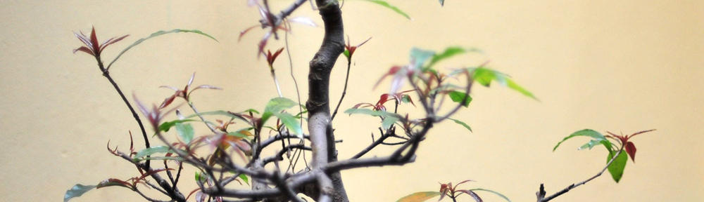 カリスマJKのコスメレッスン